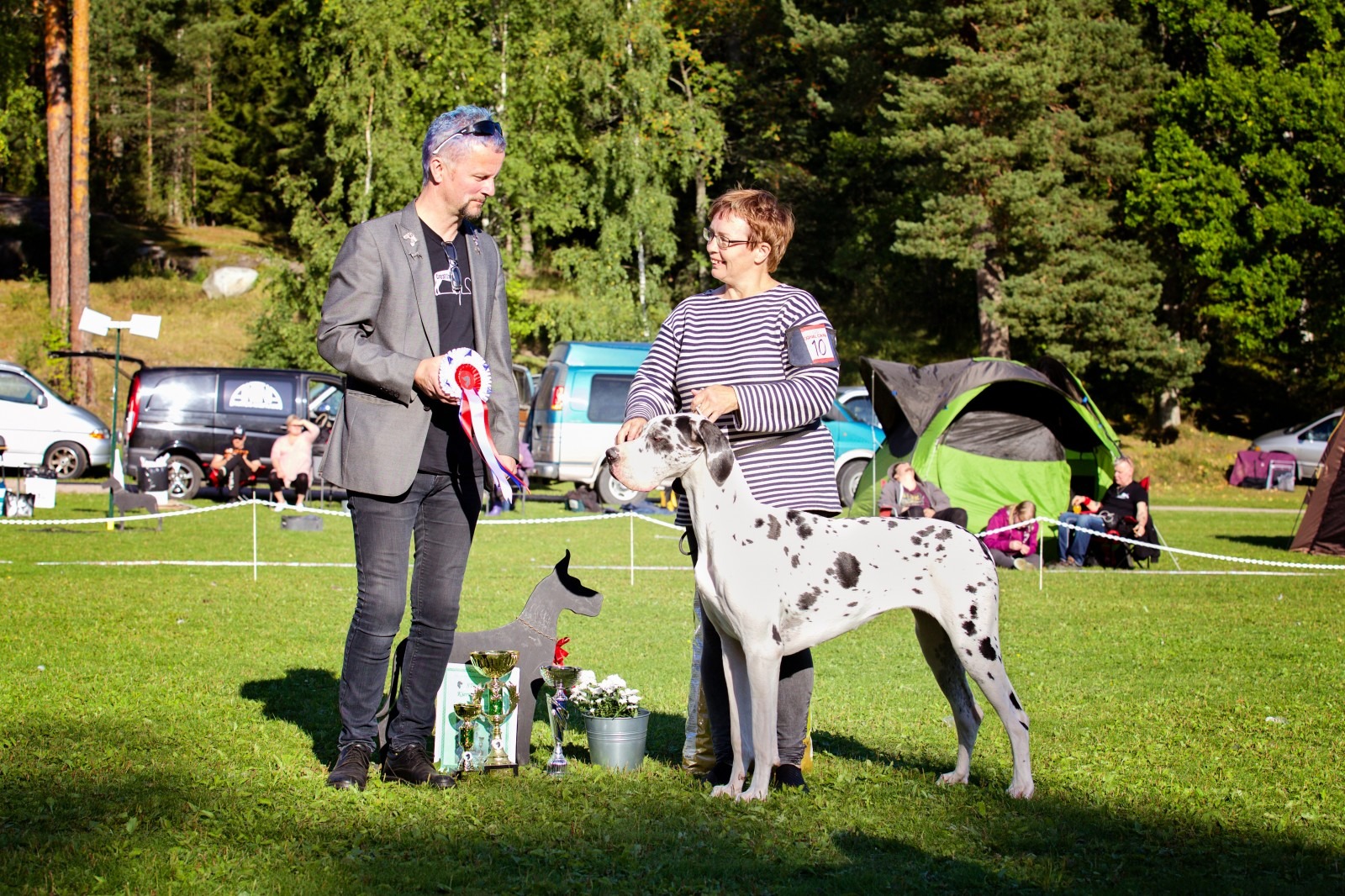 BIS JUNIORI - VINTAGE HOPPINGHAM ROYAL DE ALLURE AVILANA  om. Anitta Kilpeläinen & Harri Kuusisto & Auli Haapiainen-Liikanen 