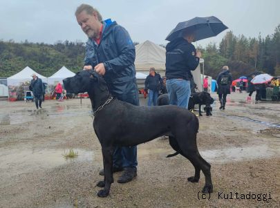 GRANDE GREMIN'S KITA THE BLACK DIAMOND 